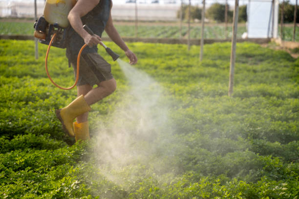Best Wasp Removal Services  in Deep River Center, CT