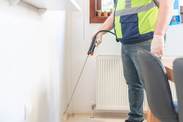 Best Affordable Pest Control Services  in Deep River Center, CT