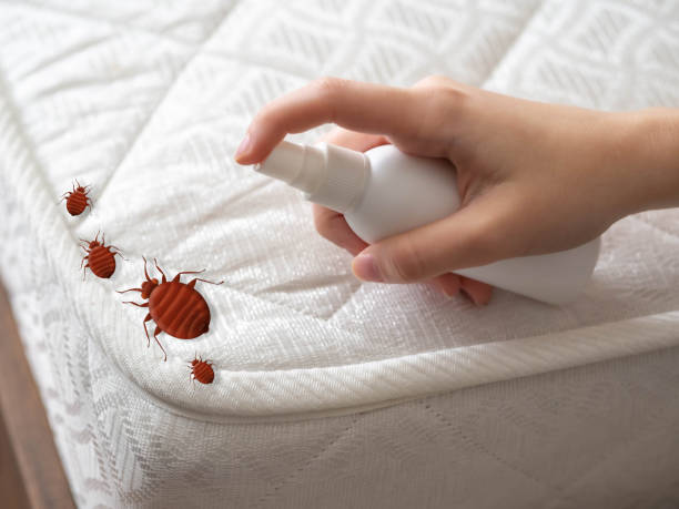 Best Cockroach Control Services  in Deep River Center, CT