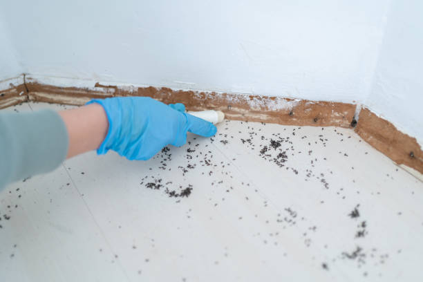 Deep River Center, CT Pest Control Company